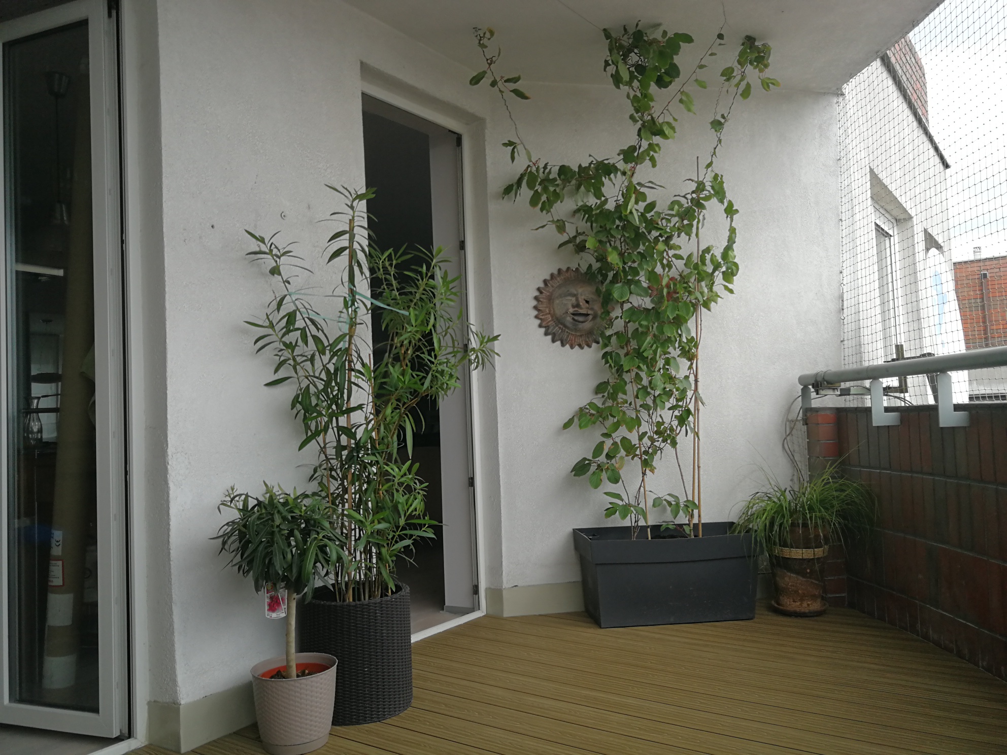 Miodowy Teak 3D balkon - harmonia w miejskiej przestrzeni